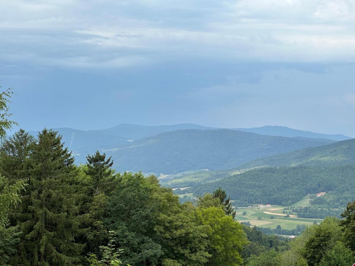 Modernes Top Apartment Mitten Im Bayerischen Wald + Wlan Kostenfrei Schöfweg Εξωτερικό φωτογραφία